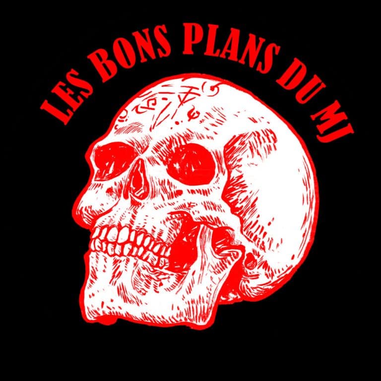 Dessiner une salle de donjon en plan isométrique par Jérôme Huguenin